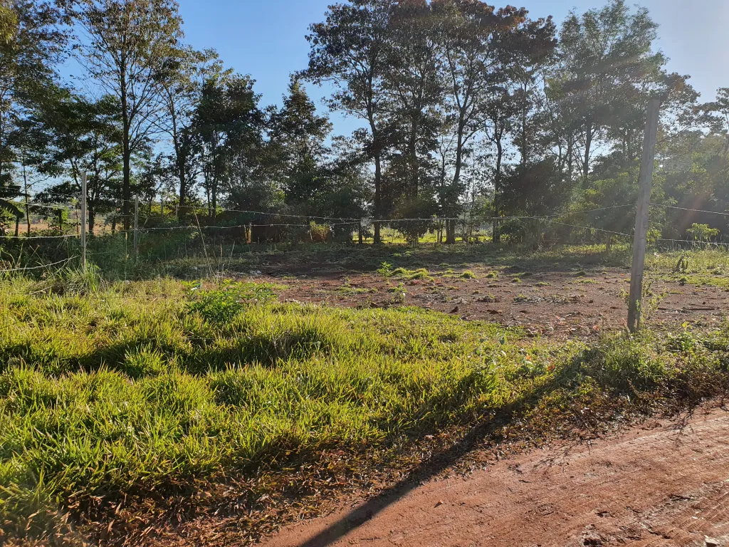 Dos terrenos juntos en el km 20 acaray — foto 2