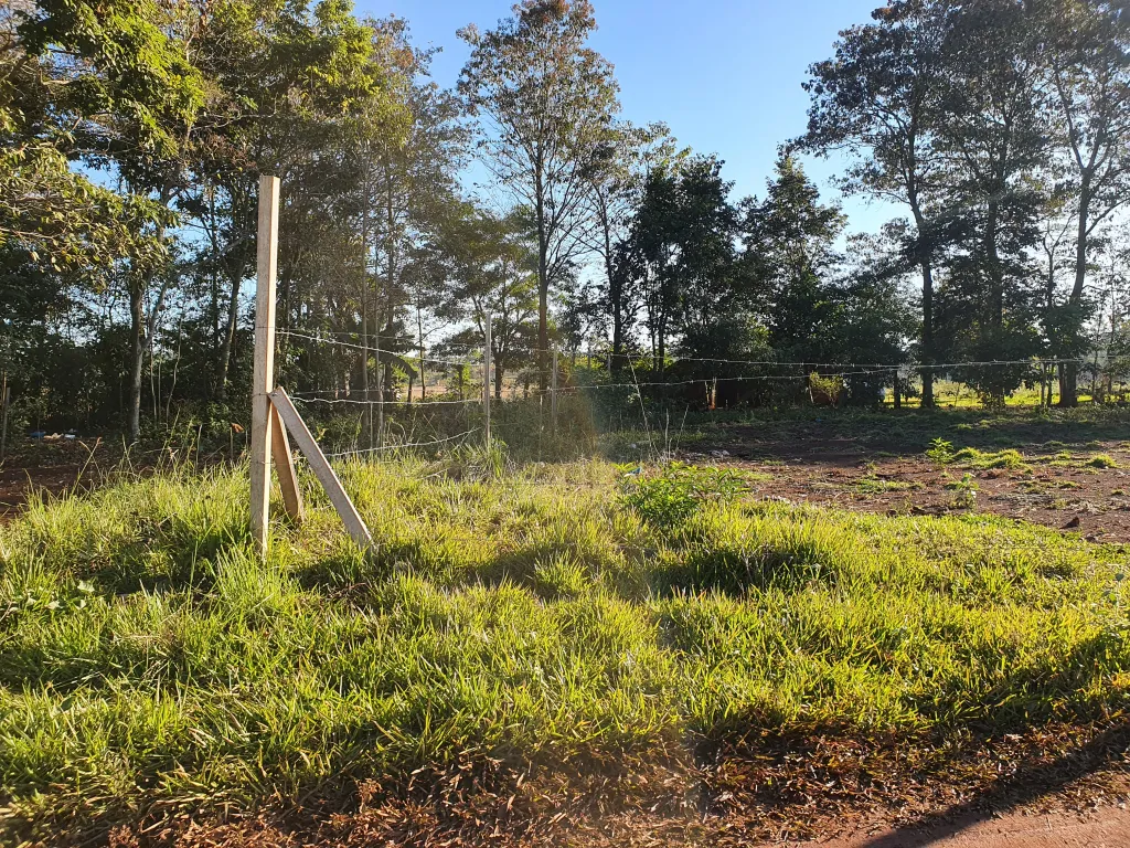 Dos terrenos juntos en el km 20 acaray — foto 3