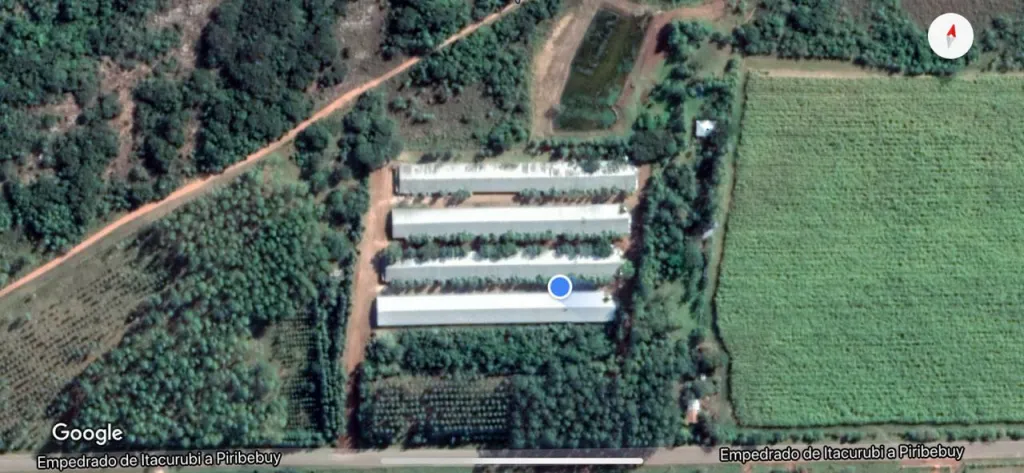 CORDILLERA (PIRIBEBUY – ITACURUBÍ): GRANJA AVICOLA EN VENTA, EXCELENTE INVERSION. — foto 2