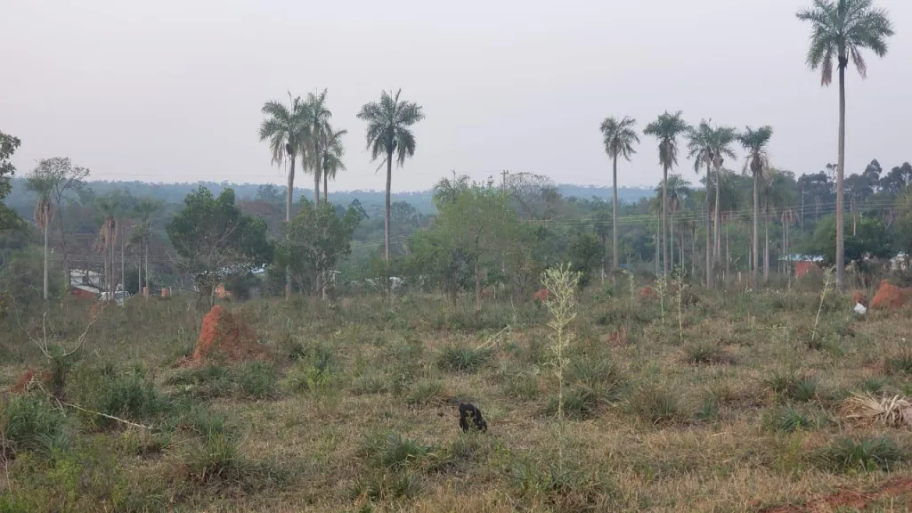 Vendo Dos Terrenos En Altos — foto 2