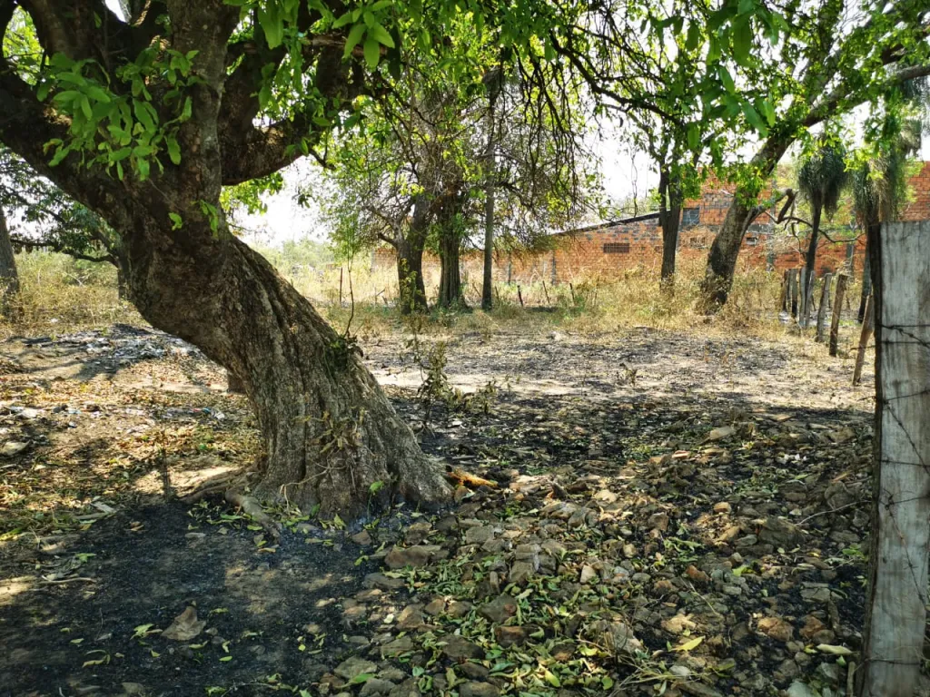 VENDO HERMOSO TERRENO EN LA CIUDAD DE LIMPIO, A METROS DEL ASFALTO. — foto 2