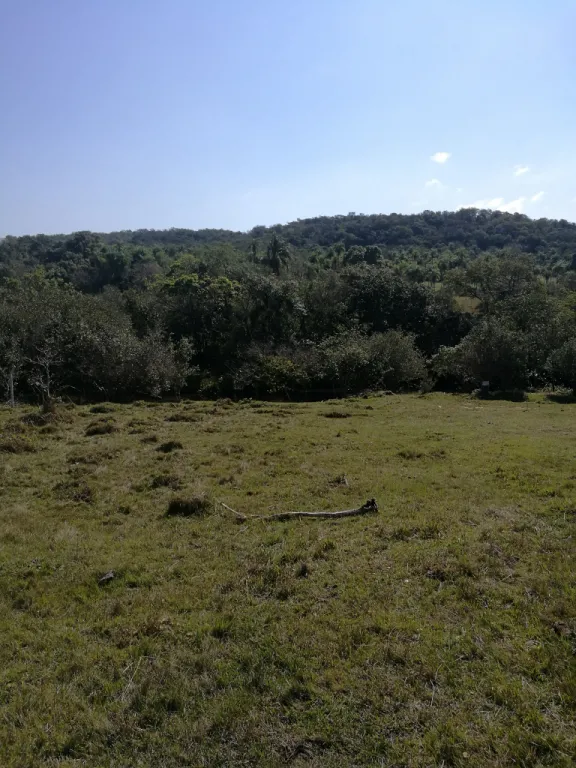 Vendo y financió terreno enfrente al arroyo yhaca! — foto 2