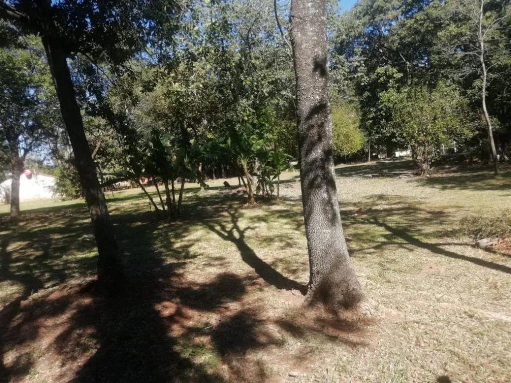 VENDO 12.047 Mts 2. Luque. ZONA CIT. COD HG — foto 2