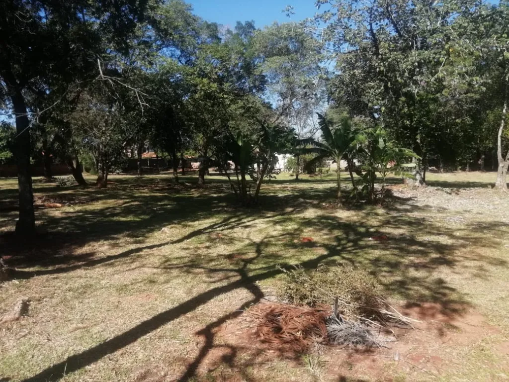 VENDO 12.047 Mts 2. Luque. ZONA CIT. COD HG — foto 3