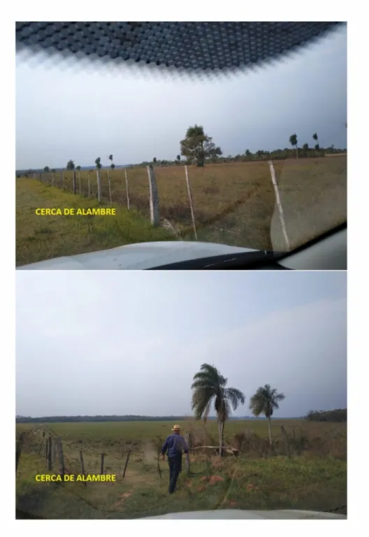Hermosa propiedad en Caazapá — foto 3