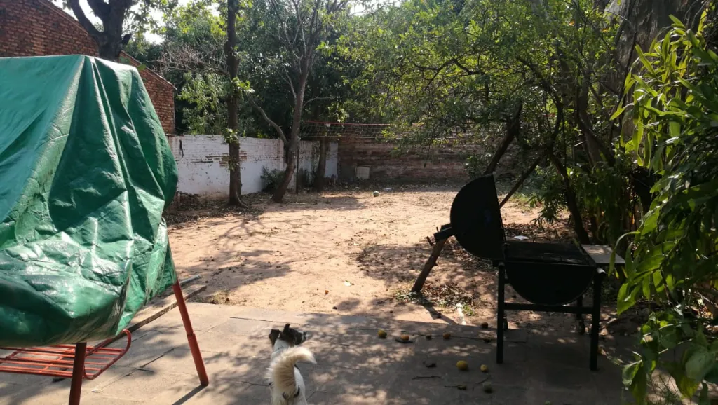 VENDO PROPIEDAD EN CAMPO GRANDE - ZONA PRIMER PRESIDENTE — foto 2