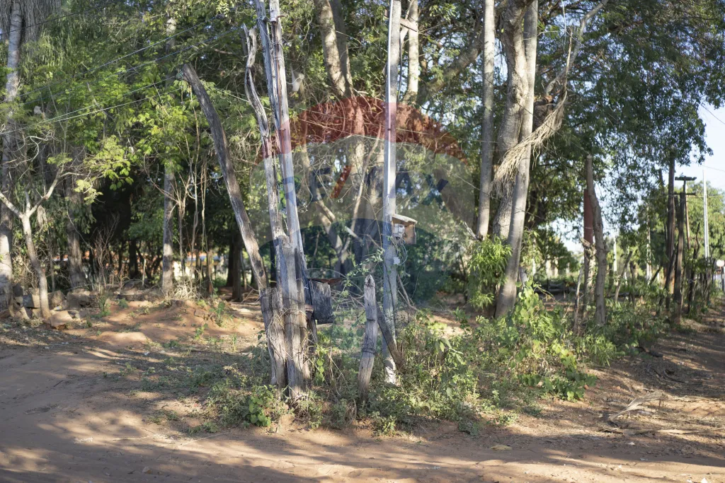 TERRENO EN LIMPIO! — foto 2