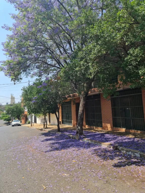 OFERTA VENDO CASA EN CENTRO - ASUNCION — foto 2