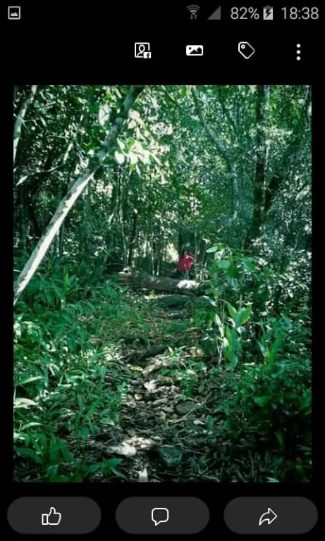 Vendo terreno en el cerro Akaty, Ybytyruzu — foto 3