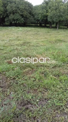 Vendo terreno en Luque - Loma Merlo — foto 3