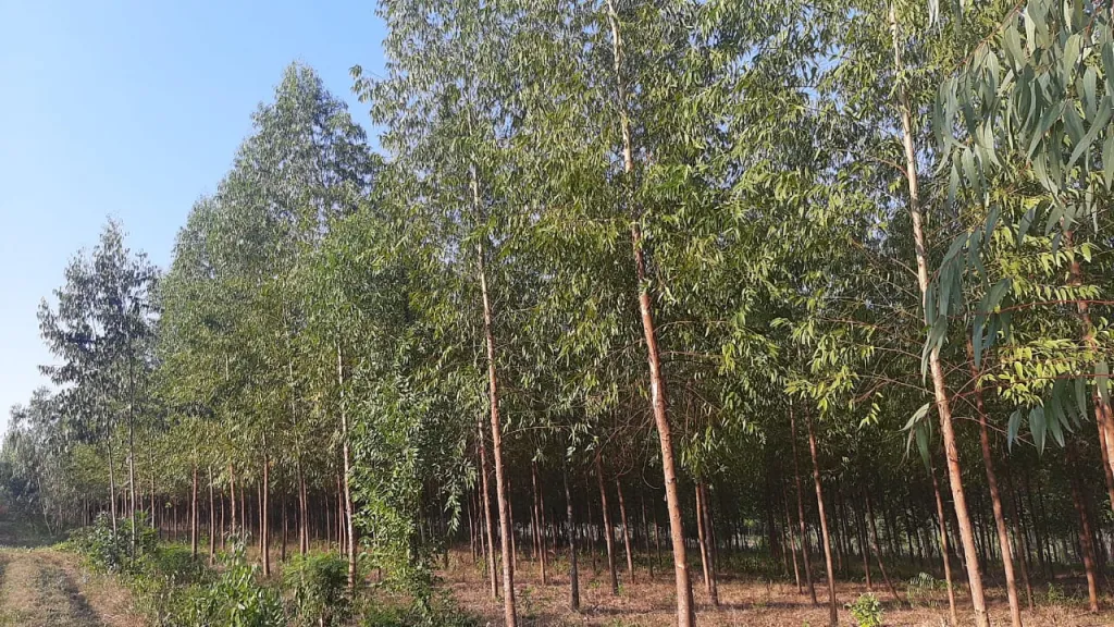 Vendo terreno de 1 hectarea y media — foto 3