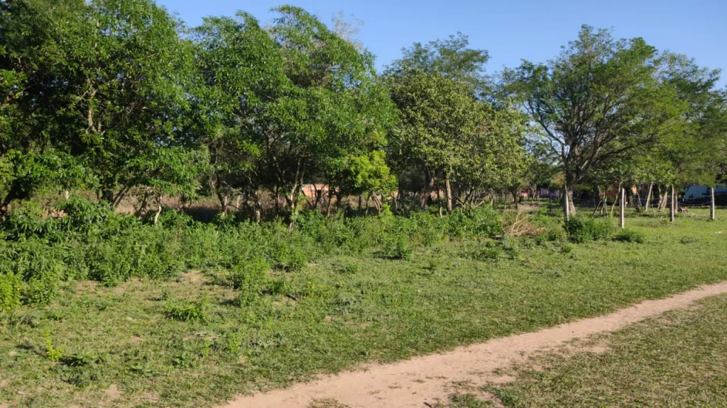 VENDO! Lote en Pirayu — foto 2