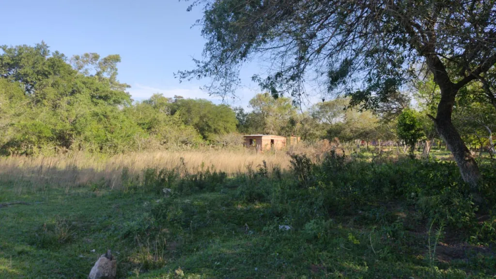VENDO! Lote en Pirayu — foto 3