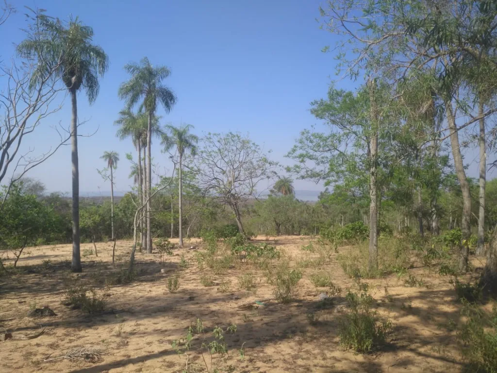 SAN BERNARDINO CIERVO CUA ALTOS: MARAVILLOSAS OPCIONES P DESARROLLOS INMOBILIARIOS. — foto 2