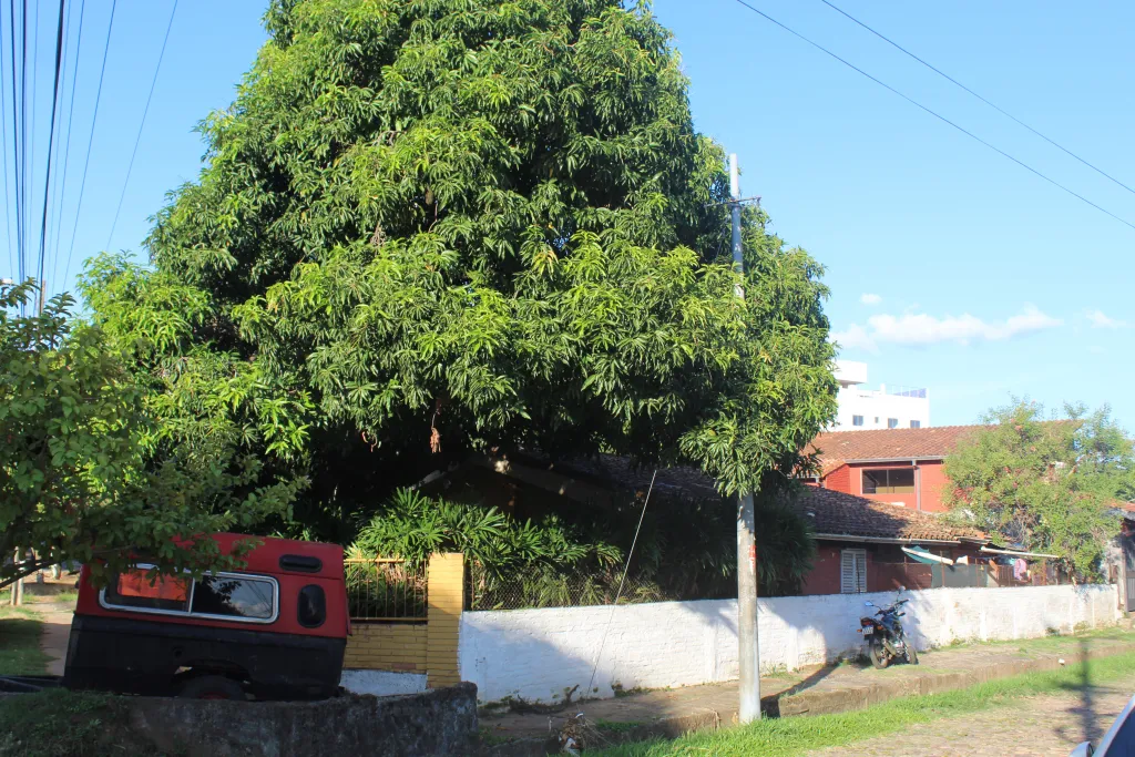 HERMOSA PROPIEDAD EN B. MADAME LINCH — foto 3