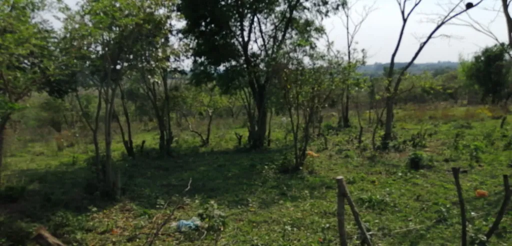 VENDO TERRENO - 8 HAS 1747 M2. — foto 2