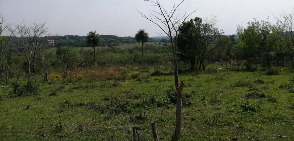 VENDO TERRENO - 8 HAS 1747 M2. — foto 3