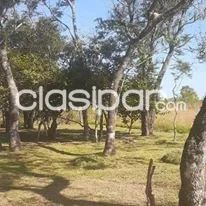 VENDO 10 TERRENOS EN ARROYO Y ESTEROS COD 3167 — foto 2