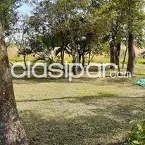 VENDO 10 TERRENOS EN ARROYO Y ESTEROS COD 3167 — foto 3