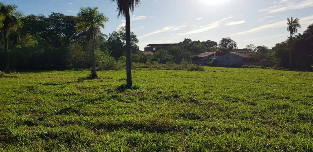 VENDO TERRENO SOBRE CALLE AMERICA LUQUE — foto 2