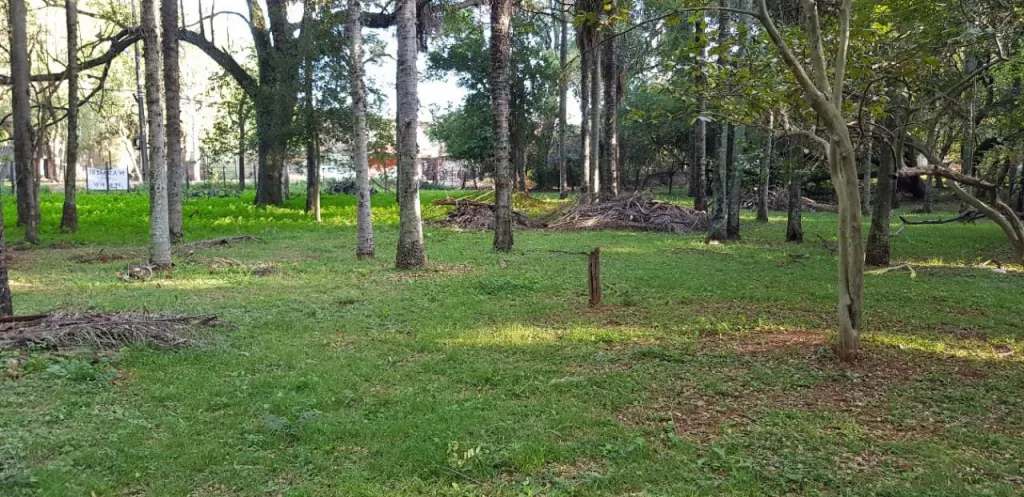 VENDO TERRENO SOBRE CALLE AMERICA LUQUE — foto 3