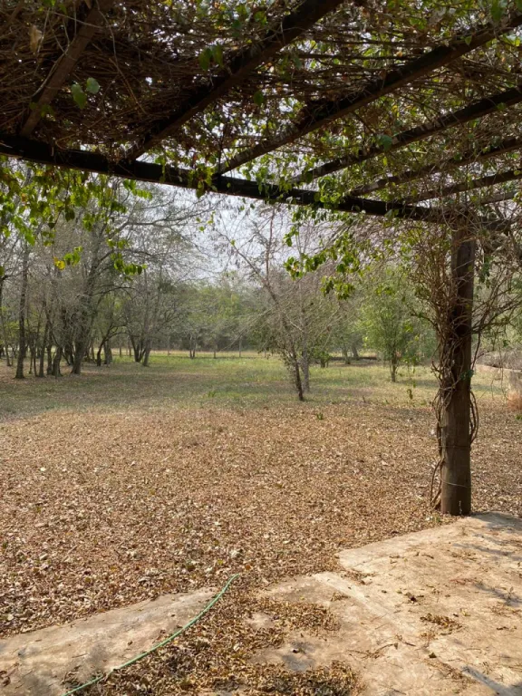 Vendo terreno de 6140 mts.2 en Surubii, — foto 2