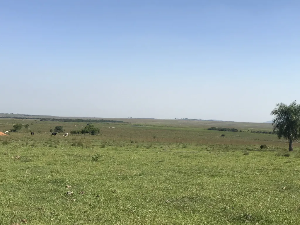 Estancia — foto 2