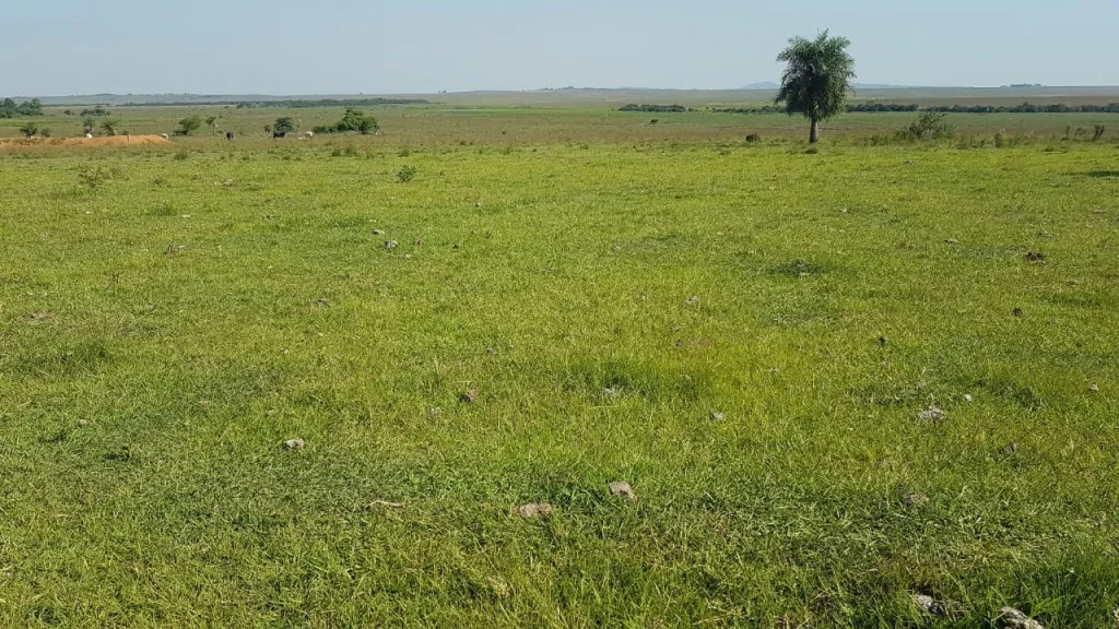 Estancia — foto 2