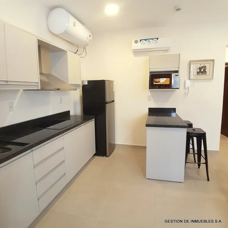 AMOBLADO Y SUPER EQUIPADO – ZONA MOPC — foto 3