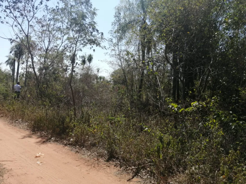 Venta- Terreno en Itaugua — foto 2