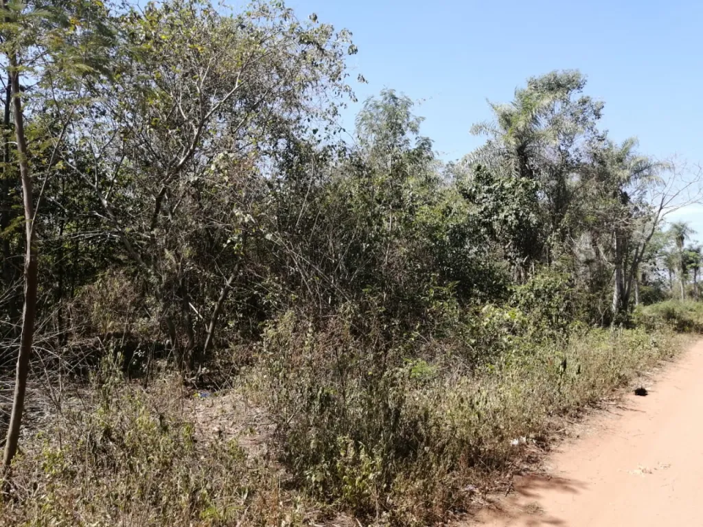Venta- Terreno en Itaugua — foto 3