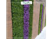 Jardín vertical