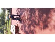 Goteras expertos en aislaciones