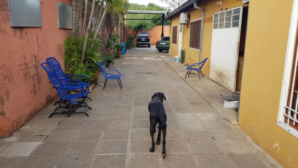 Disponible en el Centro de Luque!!! — foto 2