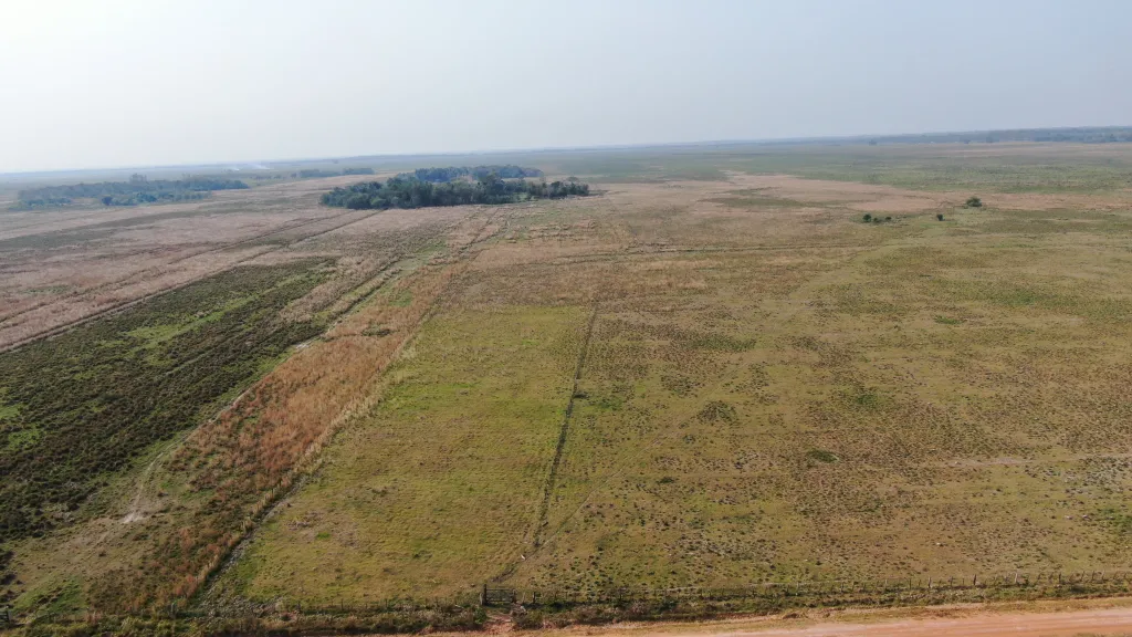 Vendo 49 hectareas en Caraguatay (Alfonso Loma). Especial para Ganado! — foto 3