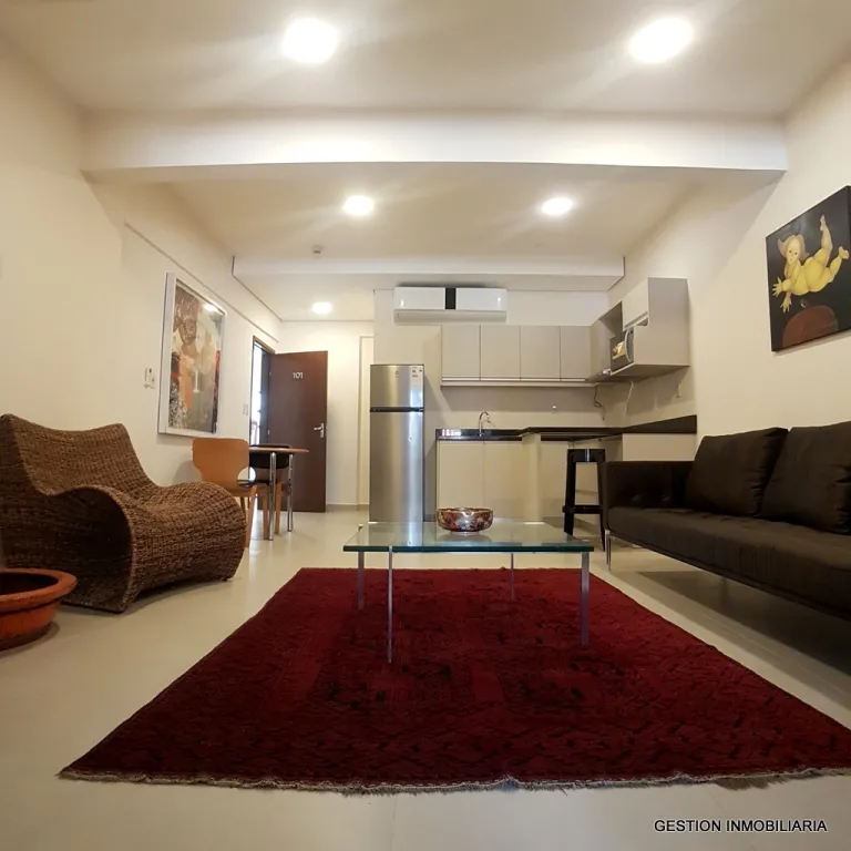 HERMOSO MONOAMBIENTE– ZONA CENTRICA — foto 2