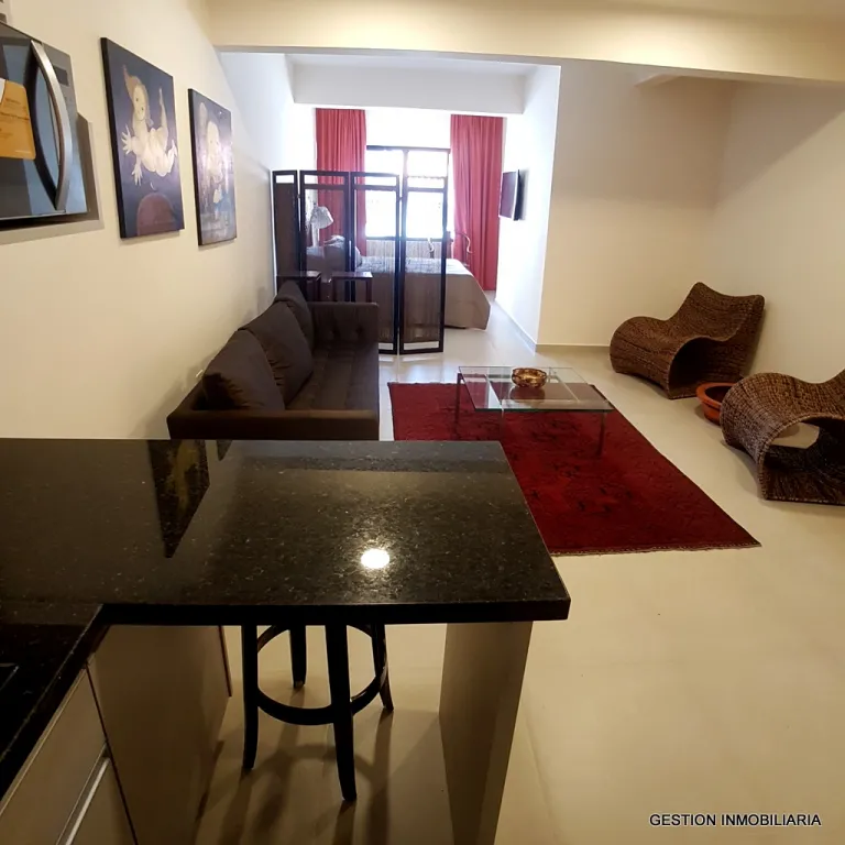 HERMOSO MONOAMBIENTE– ZONA CENTRICA — foto 3
