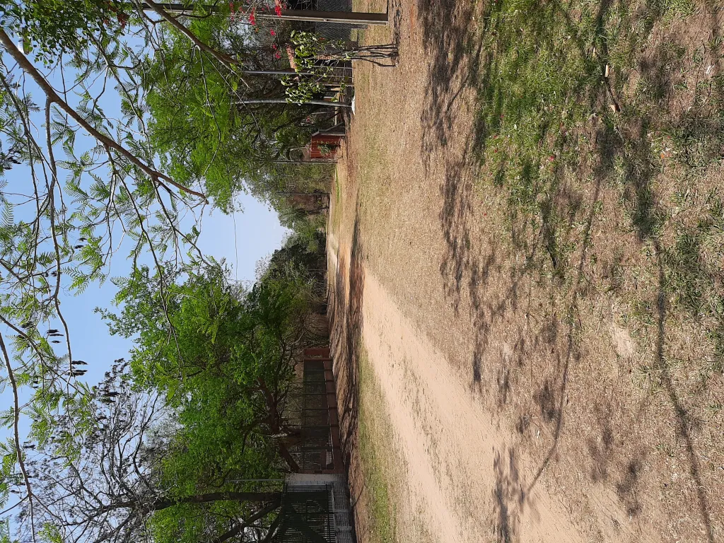 Terreno en Aregua! — foto 2