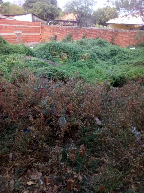 Vendo terreno — foto 3