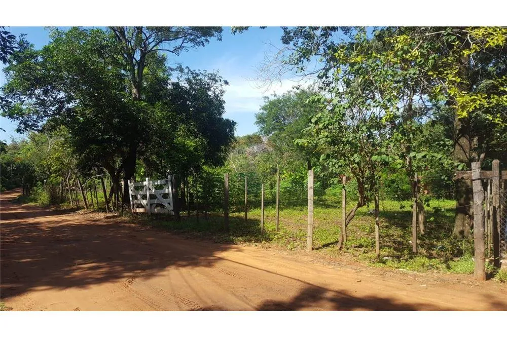 VENDO TERRENO EN LA CIUDAD DE LIMPIO — foto 3