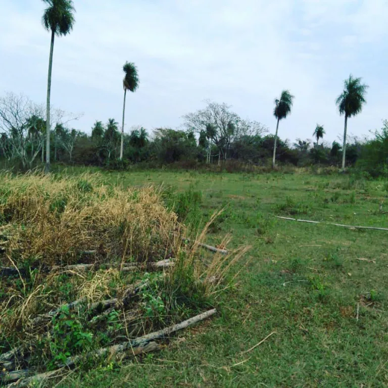 ¡¡OFERTA!! VENDO 12 HECTAREAS EN NUEVA ITALIA - LINDA ZONA. — foto 3