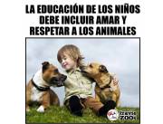 Adiestramiento Canino.