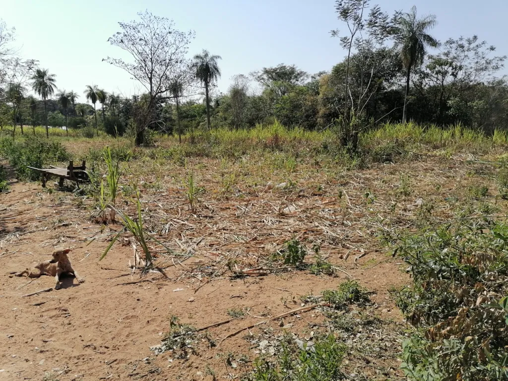 VENDO TERRENO AMPLIO EN AREGUA!! — foto 2