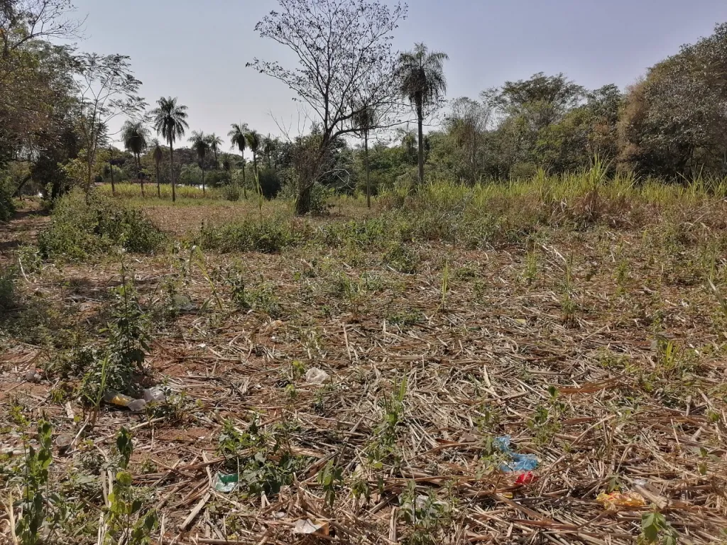 VENDO TERRENO AMPLIO EN AREGUA!! — foto 3