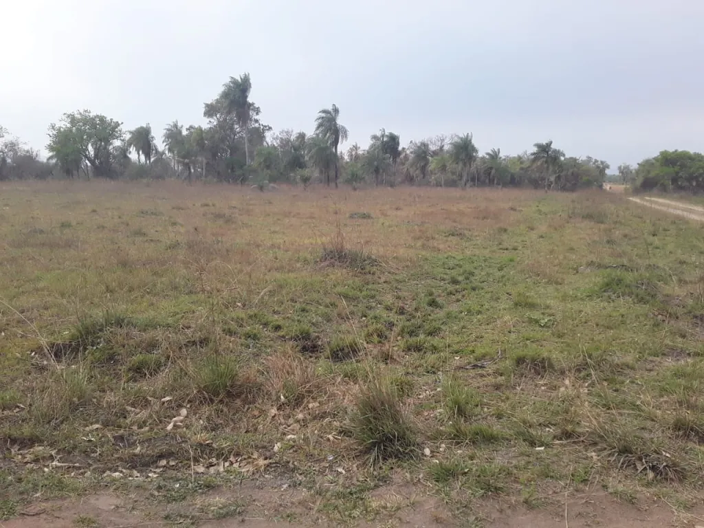 VENDO TERRENOS EN YPACARAI — foto 3