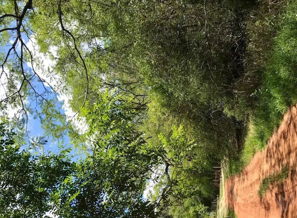 EN VENTA TERRENO DE 1200 m2 SURUBI´I — foto 2