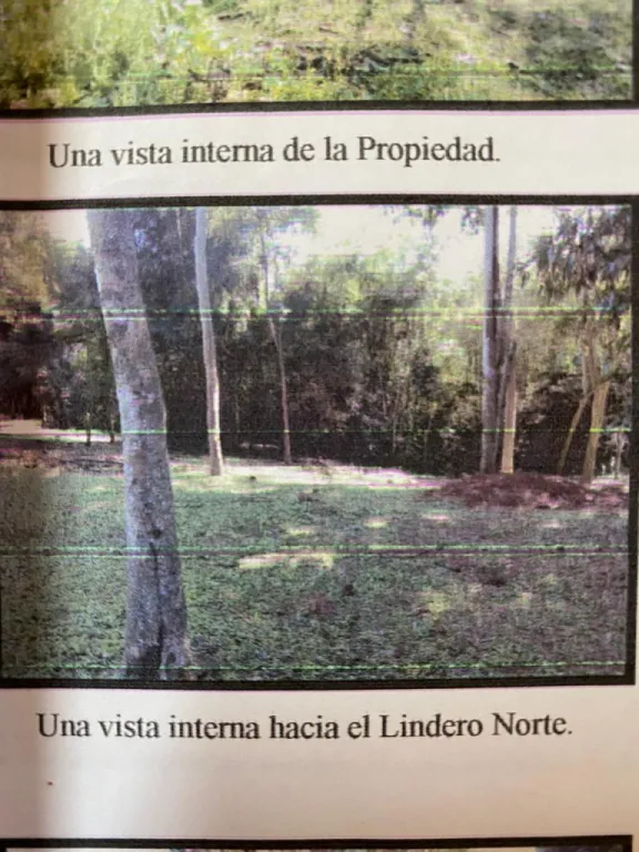 PARANA COUNTRY CLUB VENDO TERRENO DE 2001.845 METROS CUADRADOS — foto 2