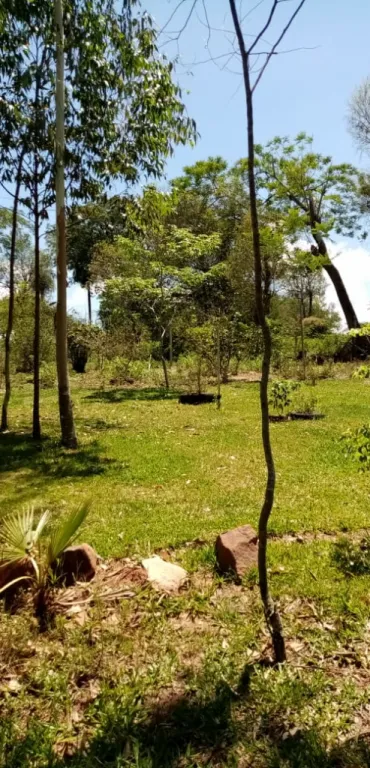 TERRENOS EN ITA — foto 2