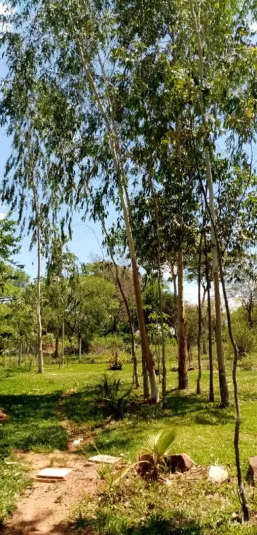 TERRENOS EN ITA — foto 3