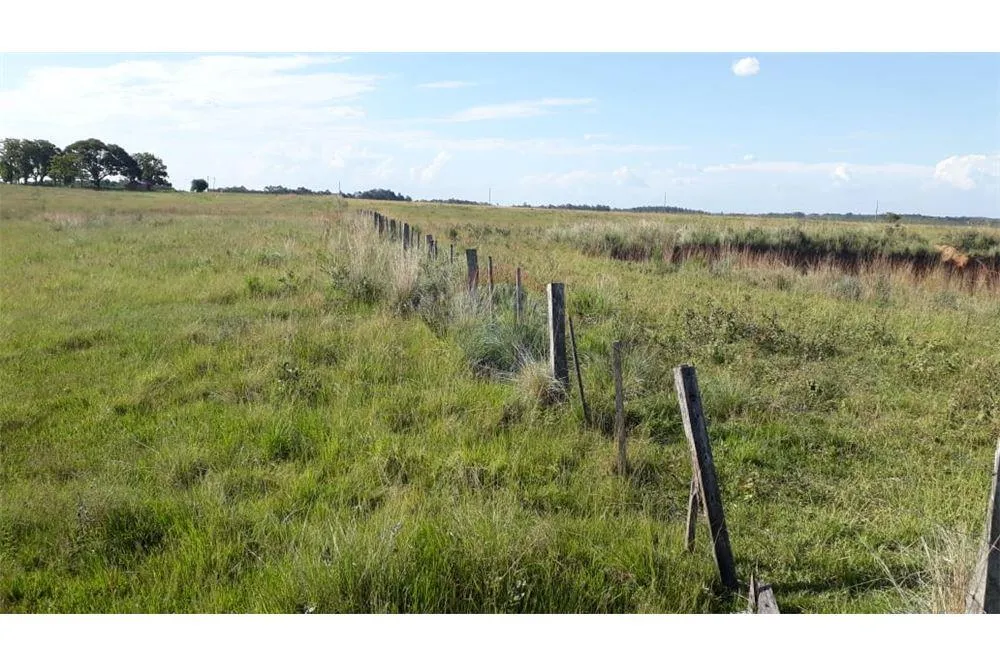 CAMPO EN VENTA - APTO PARA GANADERÍA 9,114,000 USD — foto 3